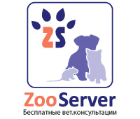 ZOO Сервер